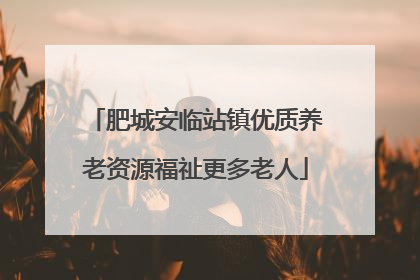 肥城安临站镇优质养老资源福祉更多老人
