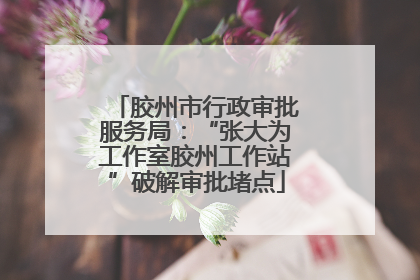 胶州市行政审批服务局：“张大为工作室胶州工作站”破解审批堵点
