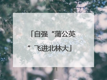 自强“蒲公英”飞进北林大
