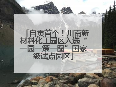 自贡首个！川南新材料化工园区入选“一园一策一图”国家级试点园区
