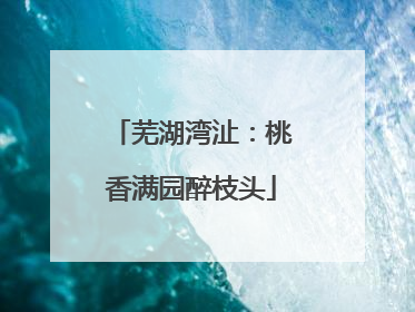 芜湖湾沚：桃香满园醉枝头