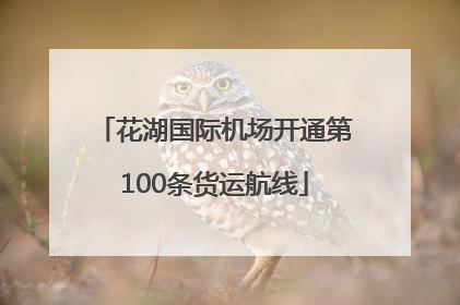 花湖国际机场开通第100条货运航线
