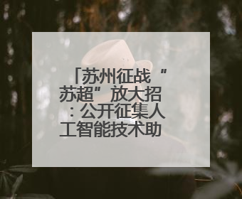 苏州征战“苏超”放大招：公开征集人工智能技术助力足球队
