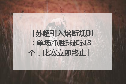 苏超引入熔断规则：单场净胜球超过8个，比赛立即终止