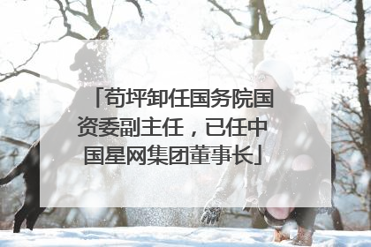 苟坪卸任国务院国资委副主任，已任中国星网集团董事长