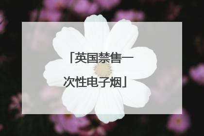英国禁售一次性电子烟