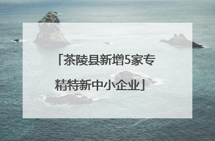 茶陵县新增5家专精特新中小企业