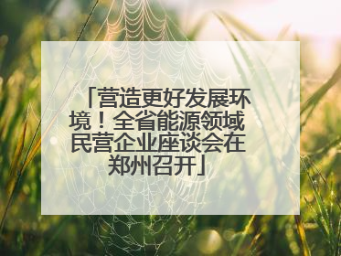 营造更好发展环境！全省能源领域民营企业座谈会在郑州召开
