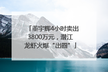 董宇辉4小时卖出3800万元，潜江龙虾火爆“出圈”