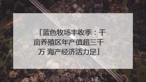 蓝色牧场丰收季：千亩养殖区年产值超三千万 海产经济活力足