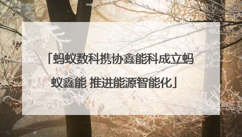 蚂蚁数科携协鑫能科成立蚂蚁鑫能 推进能源智能化