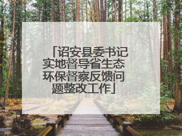 诏安县委书记实地督导省生态环保督察反馈问题整改工作