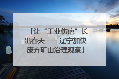 让“工业伤疤”长出春天——辽宁加快废弃矿山治理观察