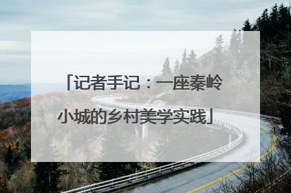 记者手记：一座秦岭小城的乡村美学实践