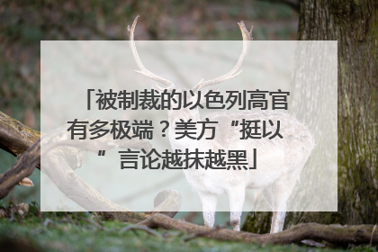 被制裁的以色列高官有多极端？美方“挺以”言论越抹越黑