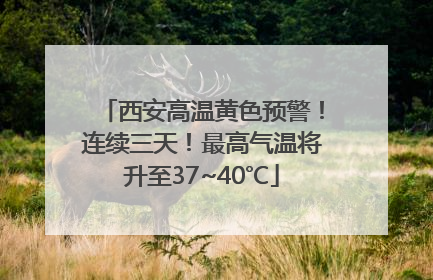 西安高温黄色预警！连续三天！最高气温将升至37~40℃