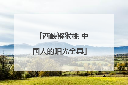 西峡猕猴桃 中国人的阳光金果