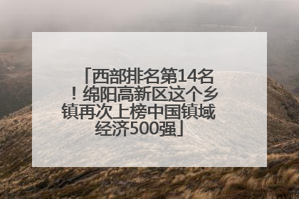 西部排名第14名！绵阳高新区这个乡镇再次上榜中国镇域经济500强