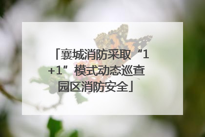 襄城消防采取“1+1”模式动态巡查园区消防安全