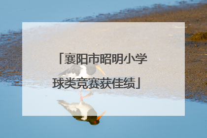 襄阳市昭明小学球类竞赛获佳绩