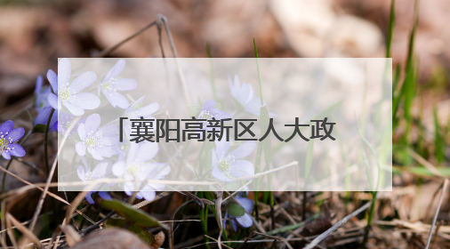 襄阳高新区人大政协办开展魏庄小学“六一”慰问活动