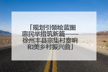 规划引领绘蓝图 惠民举措筑新篇——徐州丰县宗集村奏响和美乡村振兴曲