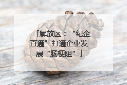 解放区：“纪企直通”打通企业发展“肠梗阻”
