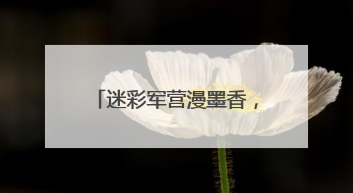 迷彩军营漫墨香，竹板唱响强军声