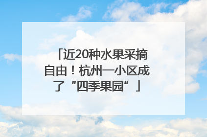 近20种水果采摘自由！杭州一小区成了“四季果园”
