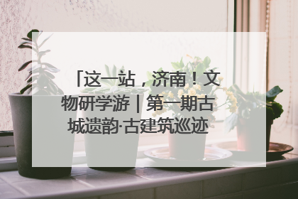 这一站，济南！文物研学游｜第一期古城遗韵·古建筑巡迹之旅圆满结束