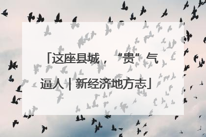 这座县城，“贵”气逼人｜新经济地方志