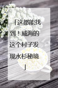 这都能找到！威海的这个村子发现水杉秘境