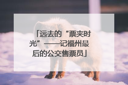 远去的“票夹时光”——记福州最后的公交售票员