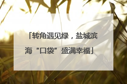 转角遇见绿，盐城滨海“口袋”盛满幸福