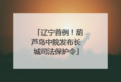 辽宁首例！葫芦岛中院发布长城司法保护令