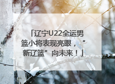 辽宁U22全运男篮小将表现亮眼，“新辽篮”向未来！