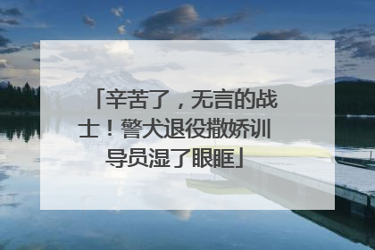 辛苦了，无言的战士！警犬退役撒娇训导员湿了眼眶
