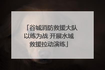 谷城消防救援大队以练为战 开展水域救援拉动演练