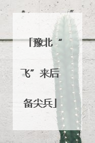 豫北“飞”来后备尖兵