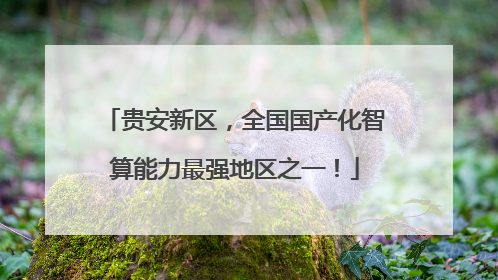 贵安新区，全国国产化智算能力最强地区之一！