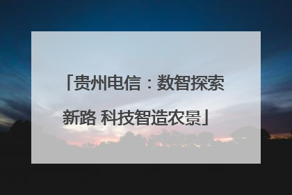 贵州电信：数智探索新路 科技智造农景