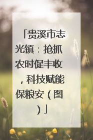 贵溪市志光镇：抢抓农时促丰收，科技赋能保粮安（图）