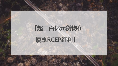 超三百亿元货物在厦享RCEP红利