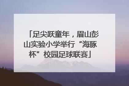 足尖跃童年，眉山彭山实验小学举行“海豚杯”校园足球联赛