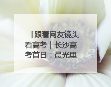 跟着网友镜头看高考｜长沙高考首日：晨光里的奔赴与守望