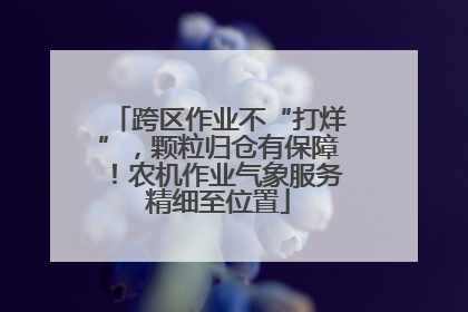 跨区作业不“打烊”，颗粒归仓有保障！农机作业气象服务精细至位置