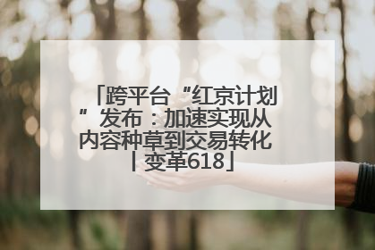 跨平台“红京计划”发布：加速实现从内容种草到交易转化丨变革618