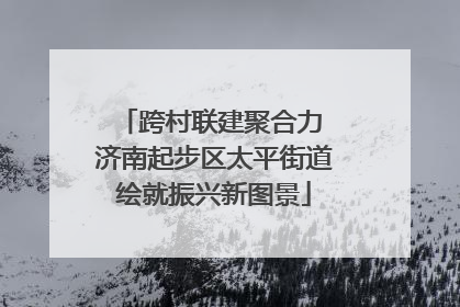 跨村联建聚合力 济南起步区太平街道绘就振兴新图景