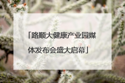 路顺大健康产业园媒体发布会盛大启幕