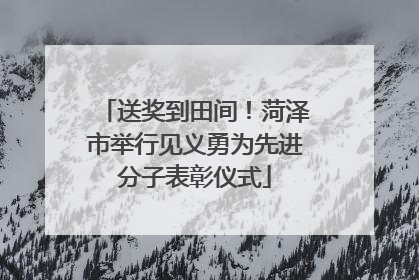 送奖到田间！菏泽市举行见义勇为先进分子表彰仪式